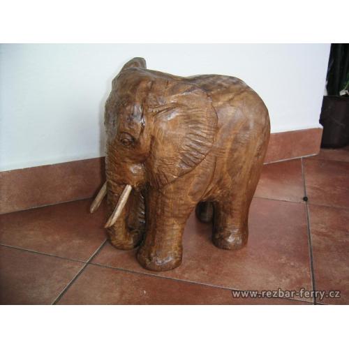 Slon africký